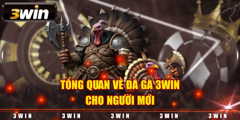 Tổng quan về đá gà 3WIN cho người mới